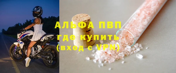 соль ск Тайга